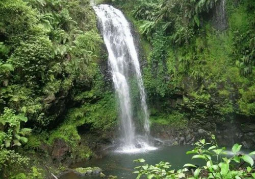 montagne d'ambre à madagascar