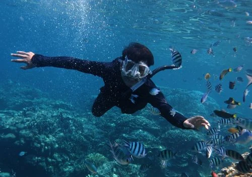 snorkeling dans le lagon de sakalava