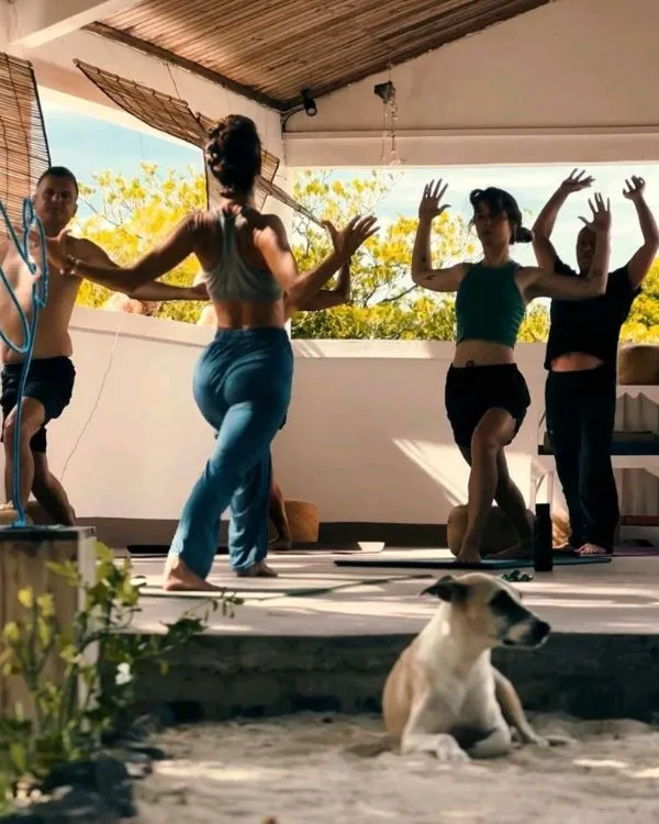 yoga et yoga hamac à sakalava